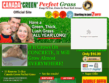Tablet Screenshot of canadagreenperfectgrass.com